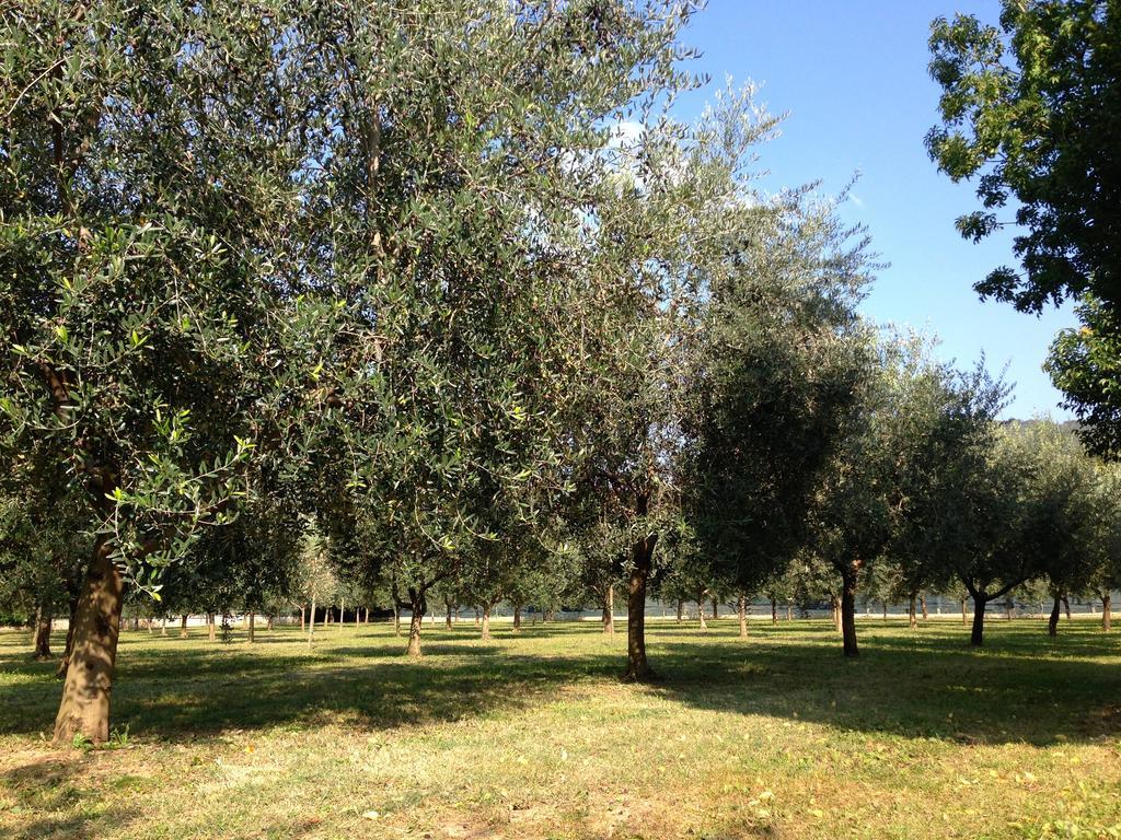 Agriturismo Corte Moranda فيرونا المظهر الخارجي الصورة