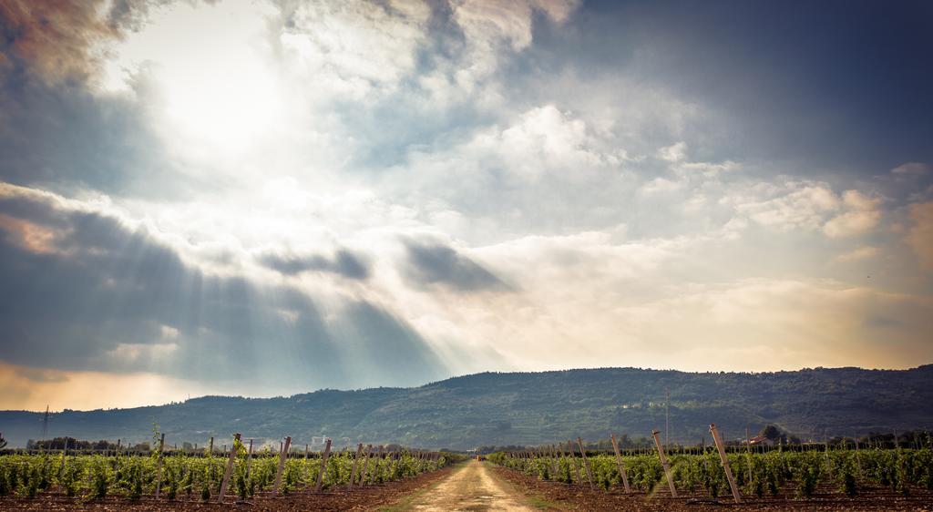 Agriturismo Corte Moranda فيرونا المظهر الخارجي الصورة